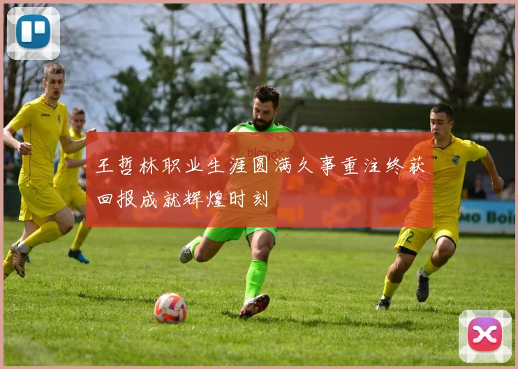 王哲林职业生涯圆满久事重注终获回报成就辉煌时刻